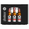 Altenburger Premium 20x0,5l