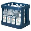 Basinus Mineralwasser Medium 12x1l PET