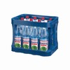 Rennsteig Minealwasser Pur 12x1l PET