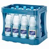 Sachsen Quell Minealwasser Naturell 12x1l PET